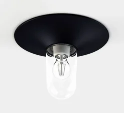 Applique d'extérieur, Cooper N° 1, verre clair Noir velours 113, IP65, L30,2cm, H30,2cm - Roger Pradier