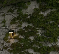 Applique d'extérieur, Plaff-on! A IP65, noir, IP65, LED, 2700K, 544lm, L16cm, H15cm - Marset