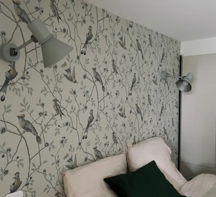 Applique, Liseuse, Type 80 W2, Grey Mist, L33cm, H16cm - Anglepoise