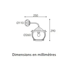 Applique murale, Betulle 2060, Cuivre laiton vieilli, IP44, Ø26cm, H25cm - Moretti Luce