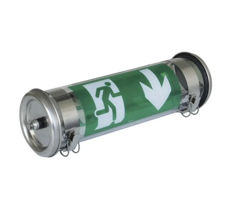 Applique murale, Bloc autonome de sécurité Coulomb, aluminium, IP68, LED, 4000K, 45 lm, L35,7cm, H12,3cm - Sammode