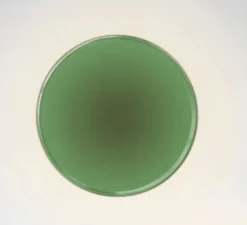 Applique murale, Caramel 38, vert, LED, dim, 2700K, 1528 lm, Ø38cm, H12cm - Marset