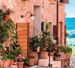 Applique murale, Casale 1365, Cuivre laiton vieilli, IP44, L41cm, H33cm - Moretti Luce