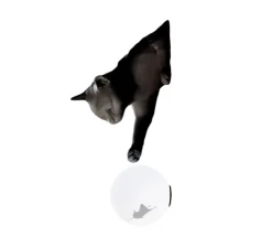 Applique murale, Maoo, gris charbon mat, verre givré, L15cm, H30cm - Karman