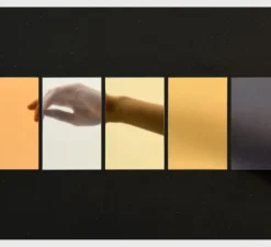 Applique murale, MUSSET GR COAL, 2700K, pétrole, LED, L52cm, H10cm - Sammode