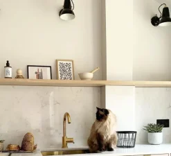 Applique murale, Original 1227, noir et laiton,Ø14cm, H16cm - Anglepoise