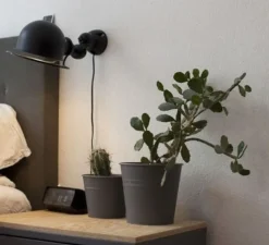 Applique murale, Signal, SI300, noir mat, L28cm, H10cm - Jieldé