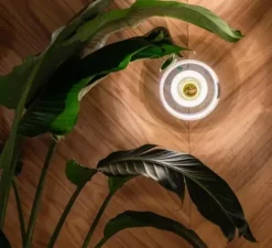 Applique murale, Stone, blanc, or, IP44, LED, dim, 3000k, 360 lm, L18cm, H18cm - Tom Dixon