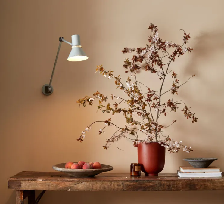 Applique murale, Type 80 W3, brume grise, Ø14,5cm, H53cm - Anglepoise