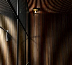 Applique ou plafonnier, Caged wet, petit, laiton, IP44, L16,9cm, H17,3cm - Buster & Punch