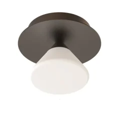 Applique ou plafonnier, Linfa 565.41, titanium, IP40, LED, dim, 2700K, 350 lm, Ø12cm, H13cm - Tooy