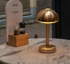 Baladeuse, Bug Gold, or, IP65, LED, dim, 2600K, 52 lm, Ø15cm, H28,7cm - Humble