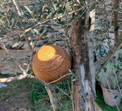 Baladeuse d'extérieur, Terra S, liège, IP67, LED, dim, 3000K, 290 lm, Ø18cm, H20cm - luxcambra