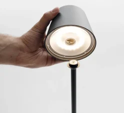 Baladeuse, Poldina, Gris foncé, avec piquet, IP54, LED, dim, 2200-3000K, 256 lm, Ø11cm, H60cm - Zafferano