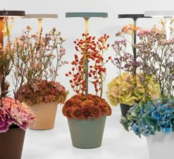 Baladeuse, Poldina Reverso, blanc, IP54, LED, dim, 2200-2700-3000K, 241-250-262 lm, Ø11cm, H35cm - Zafferano