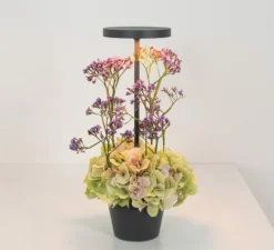 Baladeuse, Poldina Reverso, Gris foncé, IP54, LED, dim, 2200-2700-3000K, 241-250-262 lm, Ø11cm, H35cm - Zafferano