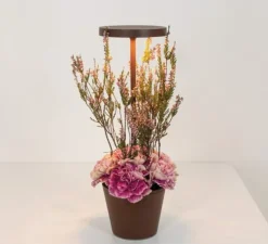 Baladeuse, Poldina Reverso, Corten, IP54, LED, dim, 2200-2700-3000K, 241-250-262 lm, Ø11cm, H35cm - Zafferano