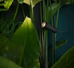 Borne, Palosanto B 5/30, noir, IP65, LED, dim, 2700K, Ø5,2cm, H30cm - Marset