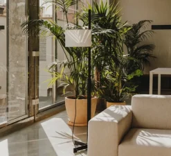 Lampadaire, TMM, chêne noir, abat-jour blanc, Ø60cm, H166cm - Santa & Cole