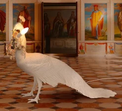 Lampe à poser, Peacock, paon, blanc, L100cm, H69cm - Seletti