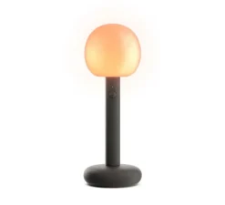 Lampe, Baladeuse, Fire, noir, IP21, LED, dim, 1300K à 2700K, 240 lm, Ø11,8cm, H32,5cm - GRAU