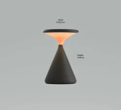 Lampe, Baladeuse, Salt, noir, IP21, LED, dim, 2700K, 450 lm, Ø12,8cm, H19cm - GRAU