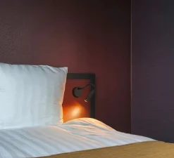 Liseuse, Karpo goose, noir, LED, dim, 3000K, 380 lm, Ø3cm, H22,5cm - SLV