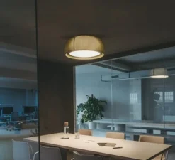 Plafonnier, Gong, vert, LED, dim, 2700K, 1464 lm, Ø61,2cm, H24,8cm - LEDS C4