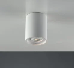 Plafonnier, Vertbois, plâtre, prêt à peindre, Zoé, Tube, Orientable, blanc, Ø13,4cm, H16cm - Nedgis