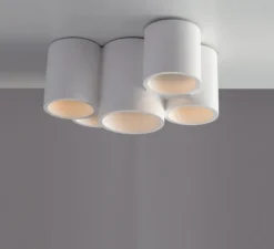 Plafonnier, Vertbois, plâtre, prêt à peindre, Isaline, Cinq, blanc, Ø29,5cm, H14cm - Nedgis