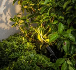 Spot, Projecteur avec piquet Balder, noir, IP67, LED, 3000K, 212 lm, L4cm, H28cm - Faro