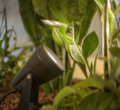 Spot, Samrina sur piquet, noir, IP65, L11,5cm, H30,5cm - SLV