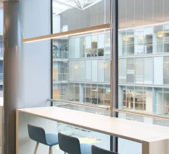 Suspension, LED40, chêne, 3000K, L100cm, H4cm, DALI - TUNTO