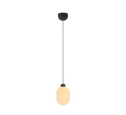 Suspension monte et baisse, Sun, noir mat, LED, dim, 2700K, 815 lm, Ø17,6cm, H28,5cm - GRAU