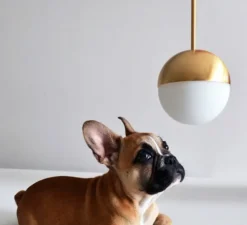 Suspension, Pallina, laiton, Ø12cm, H36cm, LED, 2700K, 470lm - Fontana Arte