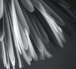 Suspension, Sun-Light of Love LED, blanc, LED, 2700K, 2520+723lm, Ø65cm, H62cm - Foscarini